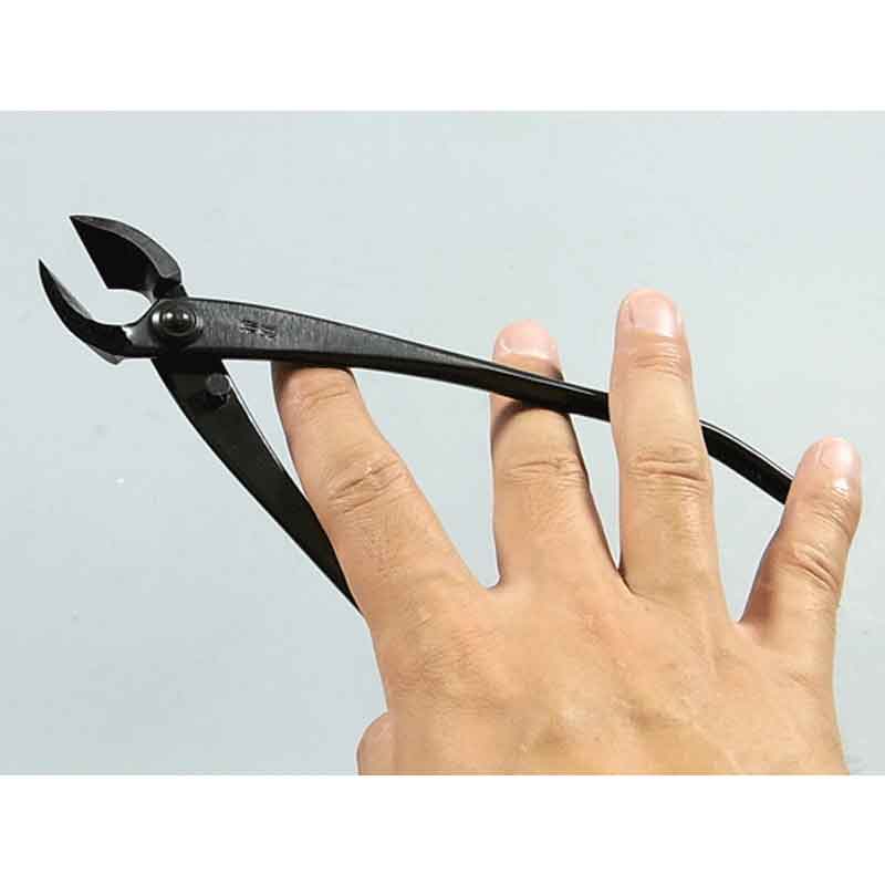 �ߺ�ƻ�� ������ �� No.1A ��� ȭ���� �����ǥ˥� �������� BONSAI ������ ��ʿ�ʪ����� ����Բ�