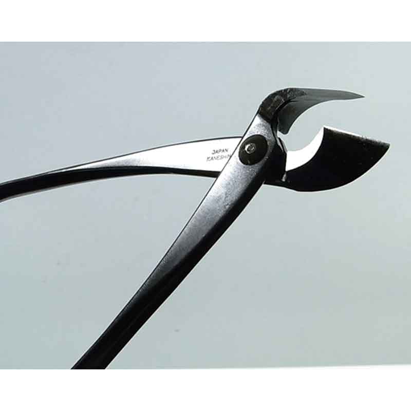 �ߺ�ƻ�� ������ �� No.3A ��� ȭ���� �����ǥ˥� �������� BONSAI ������ ��ʿ�ʪ����� ����Բ�