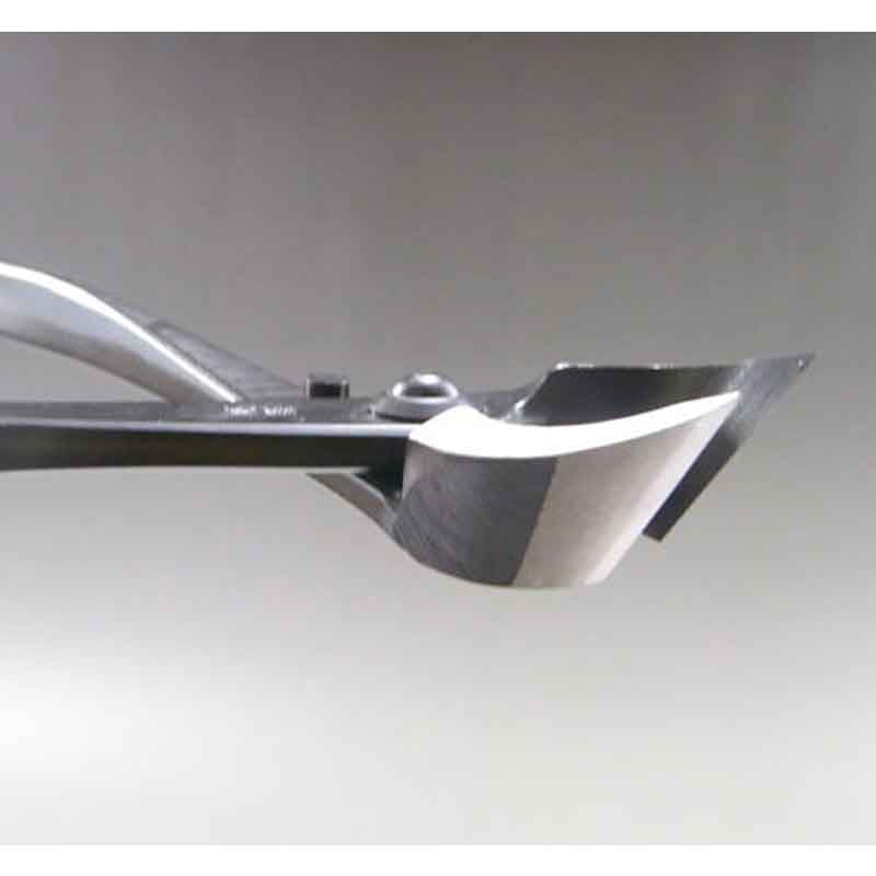 �ߺ�ƻ�� ������ �� 3S ��� ȭ���� �����ǥ˥� �������� BONSAI ������ ��ʿ�ʪ����� ����Բ�