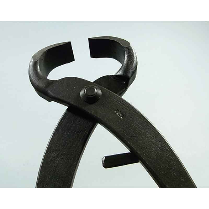 �ߺ�ƻ�� ���� ���� No.15 �ߺ� ��� ȭ���� �����ǥ˥� �������� BONSAI ������ ��ʿ�ʪ����� ����Բ�