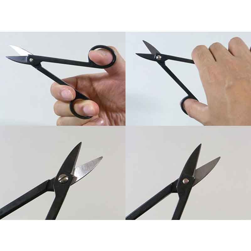 �ߺ�ƻ�� �˶��ھ��� �ߥ� No.18 �ߺ� ��� ȭ���� �����ǥ˥� �������� BONSAI ������ ��ʿ�ʪ����� ����Բ�