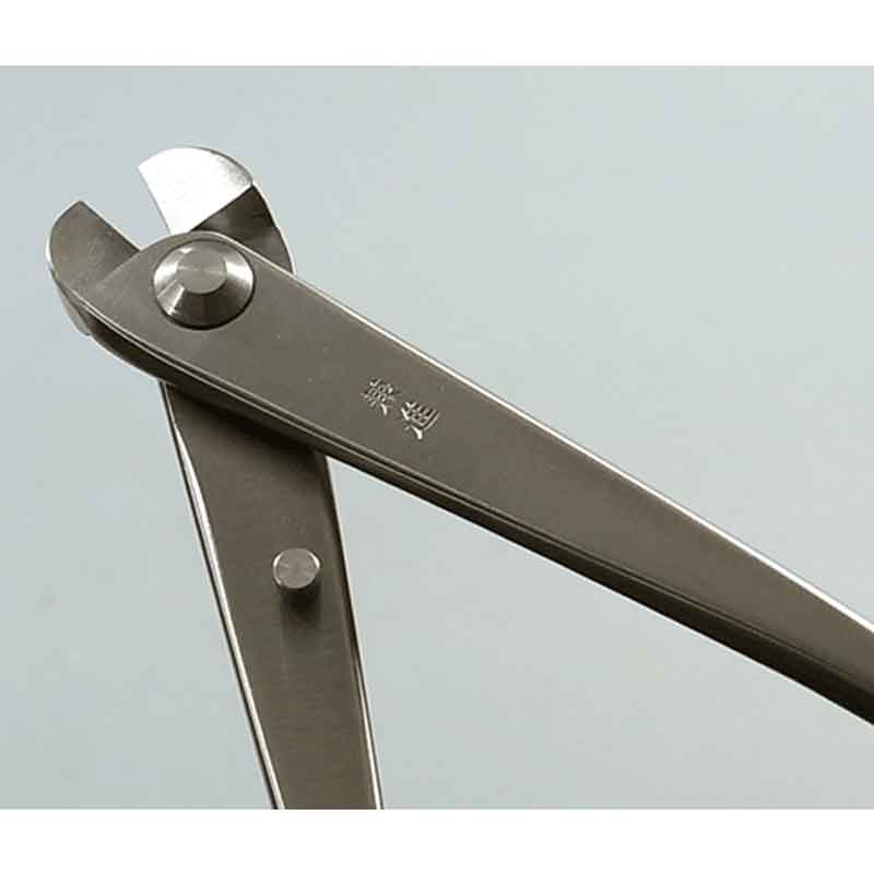 �ߺ�ƻ�� ���ƥ�쥹 �˶��� �� No.814 ���Ӥˤ��� �ߺ� ��� ȭ���� �����ǥ˥� �������� BONSAI ������ ��ʿ�ʪ����� ����Բ�