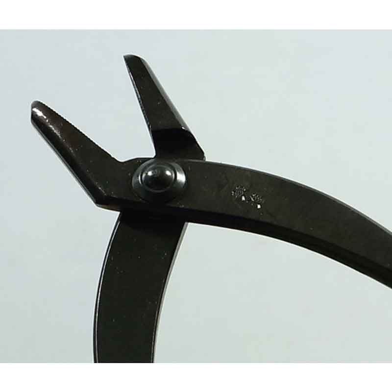 �ߺ�ƻ�� Ȭ�� �� 49 ��äȤ� �ߺ� �˶� �ʤ��� ��� ȭ���� �����ǥ˥� �������� BONSAI ������ ��ʿ�ʪ����� ����Բ�