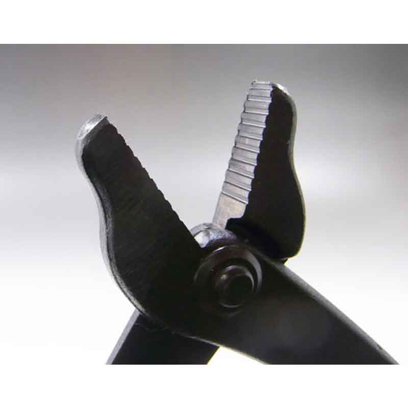 �ߺ�ƻ�� Ȭ�� �� 49B ��äȤ� �ߺ� �˶� �ʤ��� ��� ȭ���� �����ǥ˥� �������� BONSAI ������ ��ʿ�ʪ����� ����Բ�