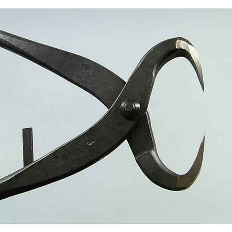 �ߺ�ƻ�� ���� ���� 440 No.17A �ߺ� ��� ȭ���� �����ǥ˥� �������� BONSAI ������ ��ʿ�ʪ����� ����Բ�