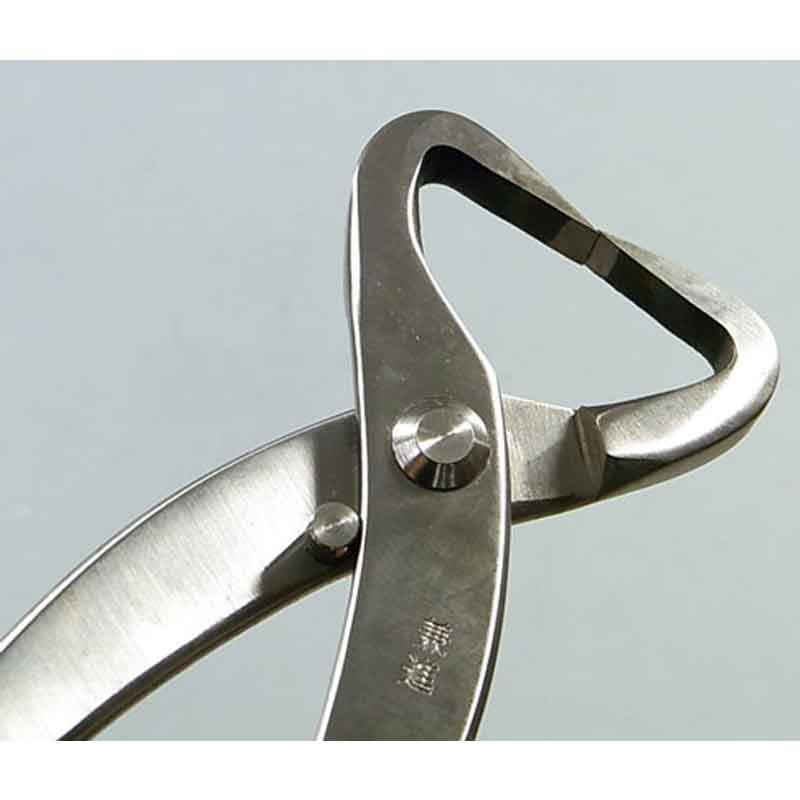 �ߺ�ƻ�� ���� �� ���ƥ�쥹 No.811 ���Ӥˤ��� �ߺ� ��� ȭ���� �����ǥ˥� �������� BONSAI ������ ��ʿ�ʪ����� ����Բ�