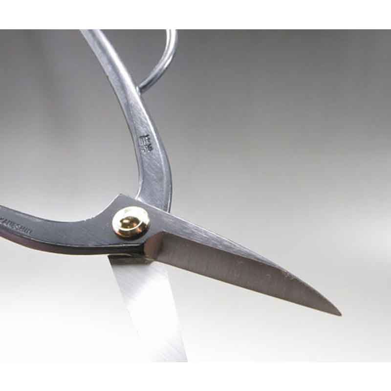 �ߺ�ƻ�� �������� No.36C �ϥ��� �Ϥ��� �ߺ� ��� ȭ���� �����ǥ˥� �������� BONSAI Shears ������ ��ʿ�ʪ����� ����Բ�