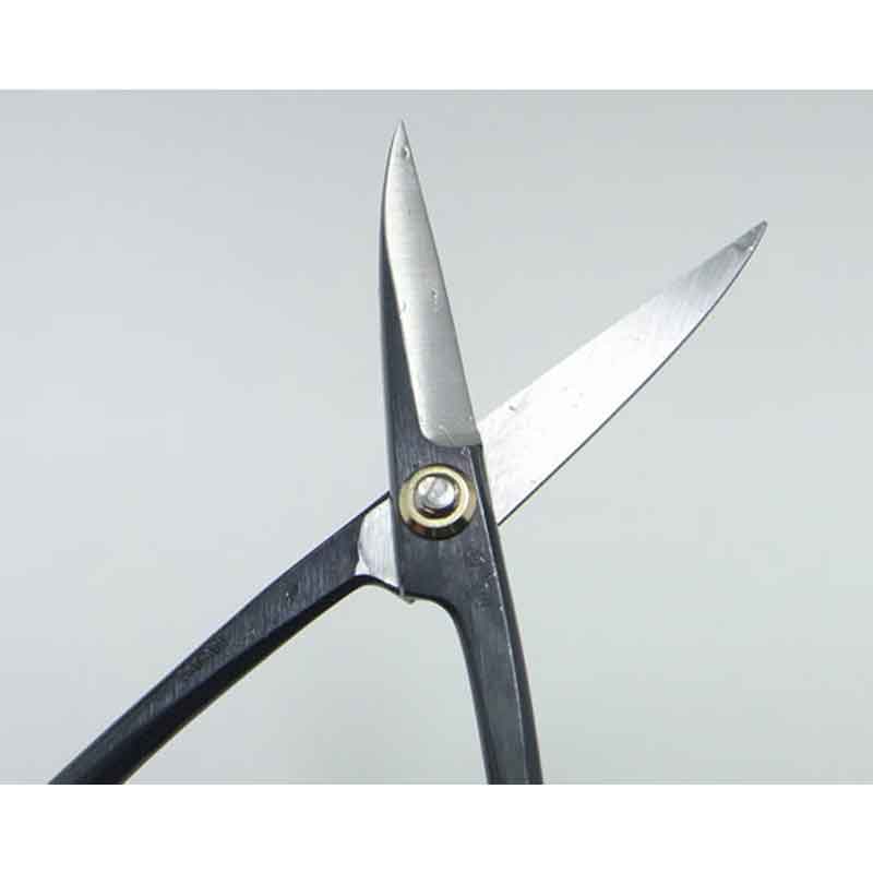 �ߺ�ƻ�� Ĺ���������� �� 38C �ϥ��� �Ϥ��� �ߺ� ��� ȭ���� �����ǥ˥� �������� BONSAI Shears ������ ��ʿ�ʪ����� ����Բ�