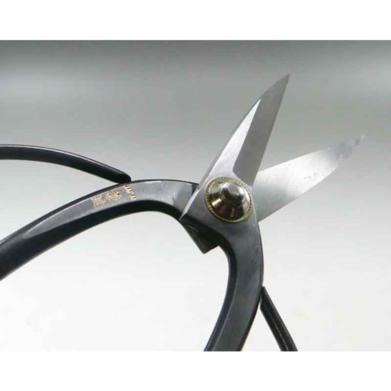 �ߺ�ƻ�� �ߺ��� �� 40E �ϥ��� �Ϥ��� �ߺ� ��� ȭ���� �����ǥ˥� �������� BONSAI Shears ������ ��ʿ�ʪ����� ����Բ�