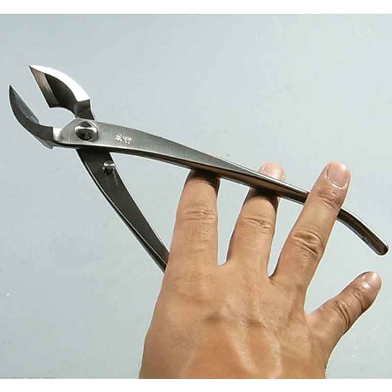 �ߺ�ƻ�� ���ƥ�쥹 8�����å� 177A �ߺ��� ������ �˶��� �ߺ� ��� ȭ���� �����ǥ˥� �������� BONSAI ������ ��ʿ�ʪ����� ����Բ�