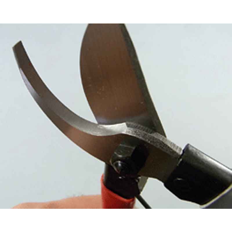 �ߺ�ƻ�� �˥塼 ������ ���� ��߼� No.166 �ߺ� ��� ȭ���� �����ǥ˥� �������� BONSAI Shears ������ ��ʿ�ʪ����� ����Բ�