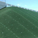 防草シート 緑化マルチフェルト Ver.600 100cm×50m 緑 一般雑草用 防草 雑草 小泉製麻 K麻 個人宅配送不可 代引不可