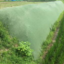 雑草抑制おまかせネット 幅2m×50m巻 グリーン 雑草対策 法面 畦畔 大一工業 北海道配送不可 代引不可