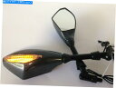 Mirror Cruiser Chopper W / M10ボルトのためのHongk Carbon LEDターンシグナルサイドミラー HongK Carbon LED Turn Signals Side Mirrors For Cruiser Chopper w/ M10 Bolts
