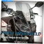 Windshield Kodaskin for Yamaha MT-09 2017-2020 Windshield Windscreenեи KODASKIN for Yamaha MT-09 2017-2020 Windshield WindScreen Front Wind Deflector