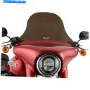 Windshield スリップストリーマ10