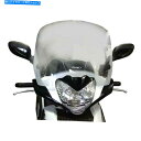 Windshield PUIG T.S.フロントガラス Puig T.S. Windshield