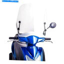Windshield PUIG T.S.フロントガラス Puig T.S. Windshield