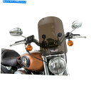 Windshield スリップストーマー墓石シリーズダークスモークウィンドシールド Slipstreamer Tombstone Series Dark Smoke Windshield