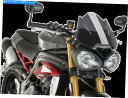 Windshield Puig 8929F新世代のフロントシールド PUIG 8929F New Generation Windshield(2)