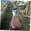  ֥饦ӥơեåȥ֥åȥ - ȥХȥȥɥ롢ɿ Brown Vintage Flat Brat Seat - Replace Motorcycle Retro Seat Saddle, Waterproof