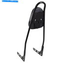 シーシーバー マザーウェルワンピースリアシシーバーパッドグロスブラックスカルハーリーフローフルフチ Motherwell One Piece Rear Siss...