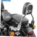シーシーバー Sissy Bar Dickable Harley Sportster 883 Superlow 11-20 Inox Sissy Bar Detachable Ohio CL for Harley Sportster 883 Superlow 11-20 inox