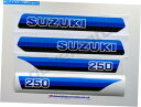 タンク スズキPE250X 1981プラスチックタンクステッカーキットエンドゥーロ SUZUKI PE250X 1981 Plastic Tank Sticke...