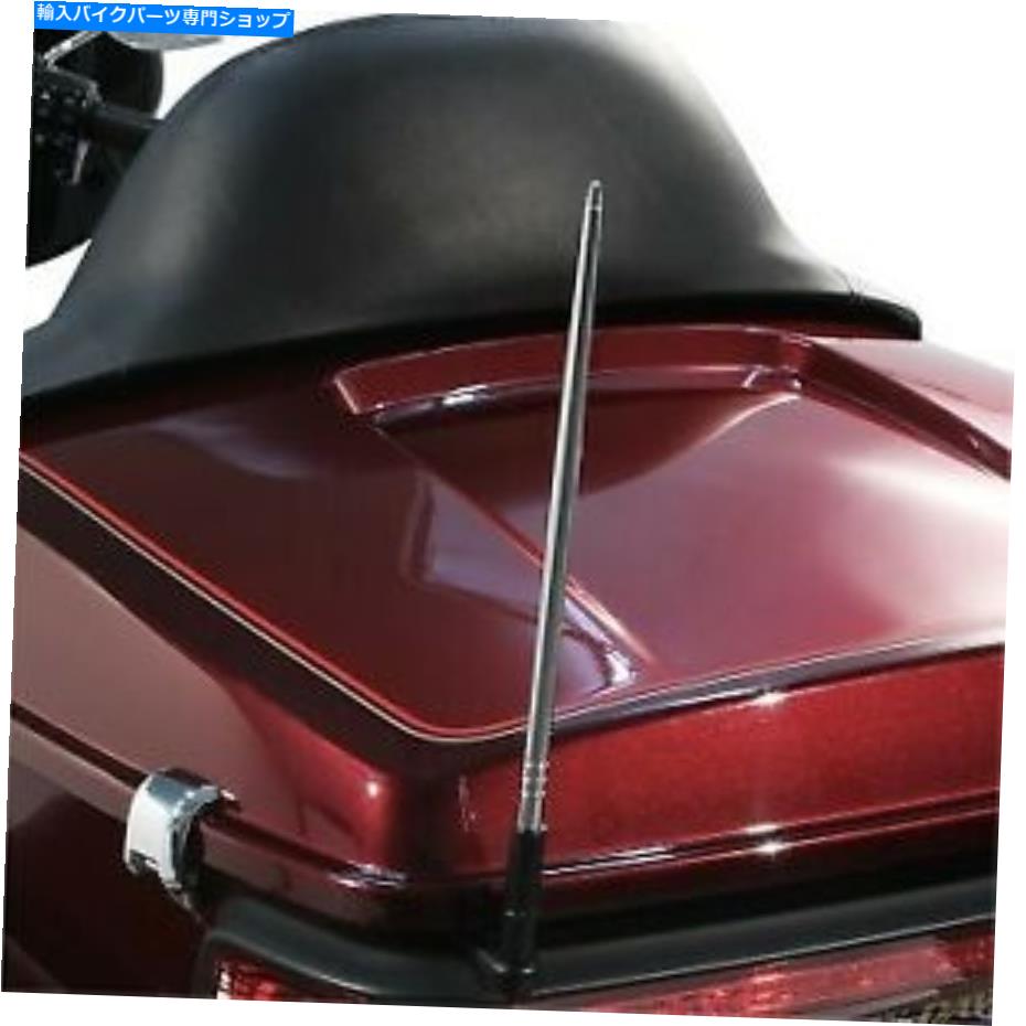 ѡ ϡ졼W /饸89-20CiRO 12 