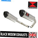 クロームパーツ CBF 1000 2006-2011ツイン排気サイレンサー300mm楕円形ステンレスカーボンチップ300st CBF 1000 2006-201...