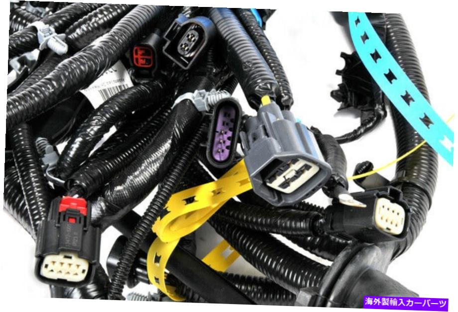 USإåɥ饤 إåɥ饤ȥ磻䡼ϡͥ231019522014ǯܥ졼ѥ˹äƤޤ Headlight Wiring Harness 23101952 fits 2014 Chevrolet Impala