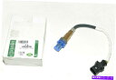 USテールライト OEMランドローバーディスカバリーL319ラムダプローブセンサーLR035750純正 OEM LAND ROVER DISCOVERY L319 LAMBDA PROBE SENSOR LR035750 GENUINE