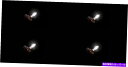 USヘッドライト PUTCO 239012DWヘッドライト電球9012ハロゲンダブルホワイトセット2 4パック Putco 239012DW Headlight Bulb 9012 Halogen Double White Set of 2 4 PACK