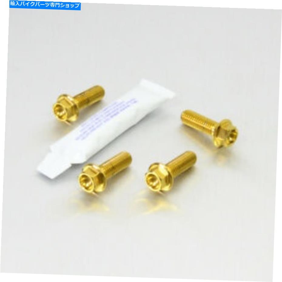 Brake Caliper Suzuki GSF650SA Bandit 2007-2008ΤProbolt Front Brake Caliper Bolts Gold Probolt Front Brake Caliper Bolts Gold for Suzuki GSF650SA Bandit 2007-2008