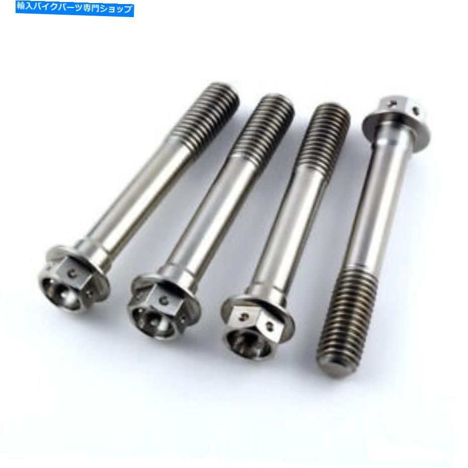 Brake Caliper Apryia Tuono 1000 06-10 V60ツインチタンレースヘックスフロントキャリパー取り付けキット Aprilia Tuono 1000 06-10 V60 Twin Titanium Race Hex Front Caliper Mounting Kit