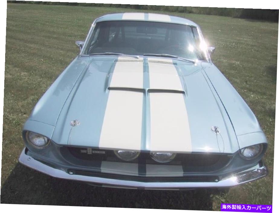 フードベントトリム フォードマスタングGT350 GT500ボンネットスクープ1967 67シェルビーコブラファーストバックコンバーチブル Ford Mustang GT350 GT500 Bonnet Scoop 1967 67 Shelby Cobra Fastback Convertible