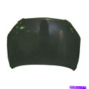 hood panel TO1230204 NEW HOODパネルは2006-2012 TOYOTA RAV4 P-CAPAに適合します TO1230204 Ne...