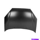 hood panel New Hood Panel Direct Replacement Fits 2002-2004 Ford Focus Svt New H...