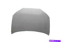 hood panel 07-10 ELANTRA HY1230136Vのフードパネル Hood Panel for 07-10 Elantra HY123013...