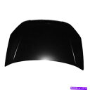 hood panel New Hood Panel Direct Replacement Fits 2006-2011 Kia Rio5 New Hood Pa...