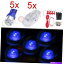 ɥޡ 5PCSꥢT10֥롼LED֥ޡ饤 +եF-250ȥåѤѥå 5pcs Clear Lens T10 Blue LED Cab Marker Lights +Wiring Pack For Ford F-250 Truck