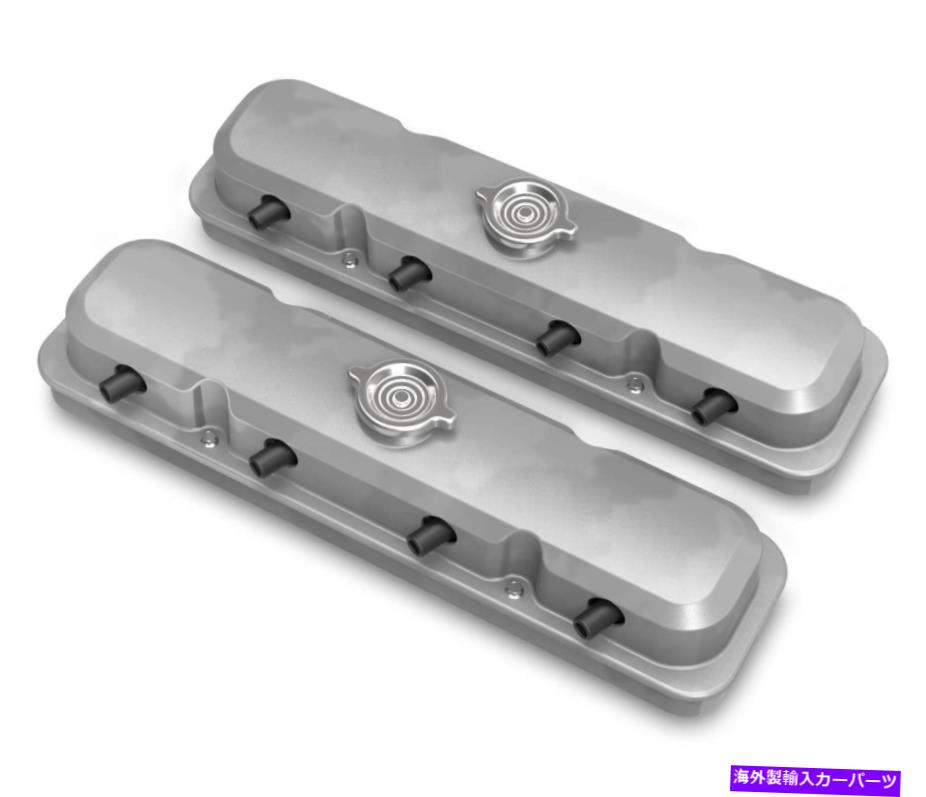 エンジンカバー 2 -PC LSポンティアックスタイルのバルブカバー - 自然仕上げ-241-190 2-Pc LS Pontiac Style Valve Covers - Natural Finish - 241-190