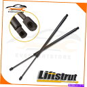 supports shock 2008-2015 Dodge Grand Caravan 2 PCS Liftgate Lifts Supports Shock...