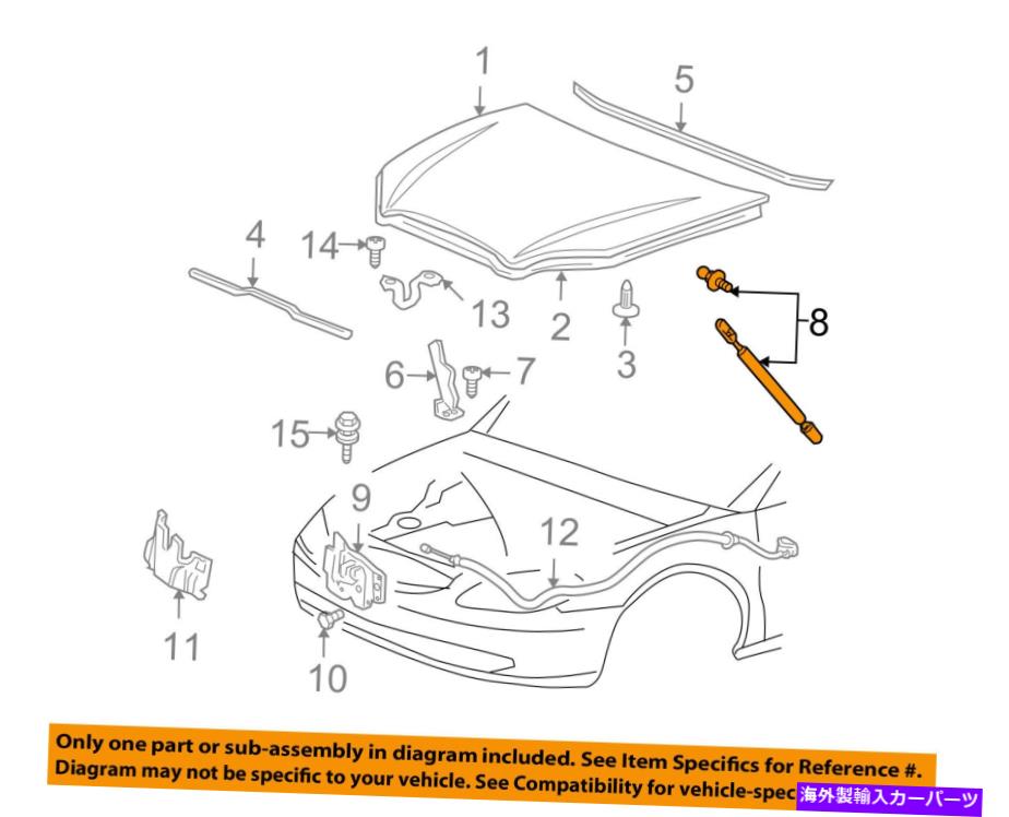 supports shock Ford OEM Hood-Liftϡȥåȥåץåץ2F1Z16C826BA򥵥ݡȤ...