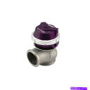 Turbo Charger Turbosmart TS-0553-1013 Genv compgate45 Wastegate、14psi、紫 Turbosmart TS-0553-1013 GenV CompGate45 Wastegate, 14PSI, Purple