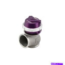 Turbo Charger Turbosmart TS-0554-1013 Genv Progate50 Wastegate、14psi、紫 Turbosmart TS-0554-1013 GenV ProGate50 Wastegate, 14PSI, Purple