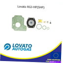 Carburetor Lovato RGJ-HP(SHP)LPGレデューサー蒸気補償キット Lovato RGJ-HP(SHP) LPG Reducer Vaporizer Reparation Kit