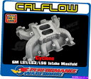 Intake Manifold Cyclone GM LS1/LS2/LS6デュアルプレーン吸気マニホールド、大聖堂港、通り CYCLONE GM LS1/LS...
