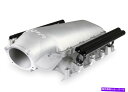 Intake Manifold HolleyEFI 300-683 Holley Lo-Ramマニホールドベースと燃料レールデュアル燃料 Holley EFI ...
