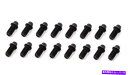 exhaust manifold シェーンフェルドヘッダーボルト3/8-16x3/4in 5/16ヘッド16pk Schoenfeld Header Bolt 3/8-16x3/4in 5/16 Head 16pk(2)
